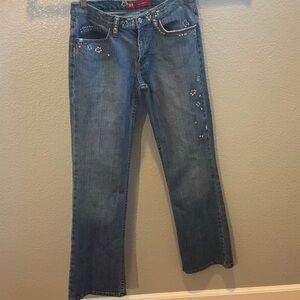 Express Blue Embroidered Flare Jeans